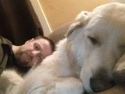 Looking 2 Rent 1200 Max 1/2 Bd W Dog