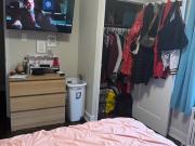Looking for a female Roomate