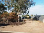 Looking for a large allotment?