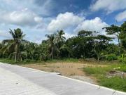 Residential Lots or House and Lots For Sale Amadeo,...