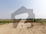 Looking For A Residential Plot In F 14