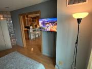 Looking for a Roommate