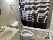 Looking for roommates