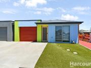 Looking to add some colour to your life