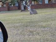 Looking To Buy A Few Acres On A Lake Near City