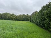 Loriol sur Drôme Vente Terrain 26