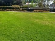 Los Alpes, Venta Departamento