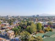 Los Andes de Violeta [3301 1]