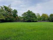 Los Apantles Terreno CLAVE TT700