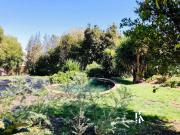 Los Bosques Piedra Roja Chicureo