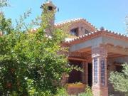 Los Girasoles