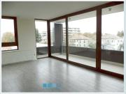 LOS LEONES / DIEGO DE ALMAGRO