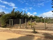 LOS LIMONEROS CON MAR DE LOS ZARGAZOS