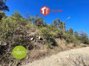 Los Mollares LOTE 714