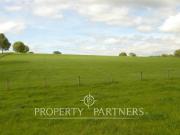 Los Muermos, espectacular campo ganadero