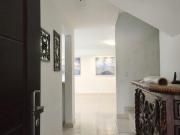 LOS OLIVOS GUADALUPE