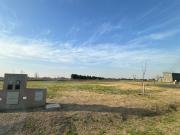 Los Pasos 3 oportunidad