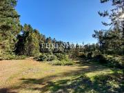 Los Pinos, Reñaca. Terreno de 2.000 m2