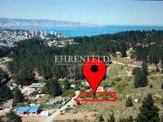 Los Pinos, sector Los Almendros. Reñaca, Viña del Mar