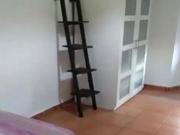 Los Remedios, junto Plaza de Cuba. Excelente vivienda de...