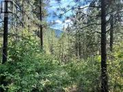 Lot 11 Evans Road, Creston, BC, V0B 1G7 vacant land for...