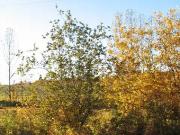 Lot #18, Wood Heights Road, Athabasca