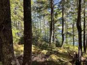 Lot 1 Grant Lake Road, Chester Grant, NS, B0J 1K0 vacant...