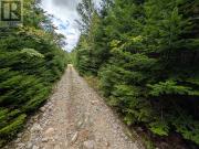 Lot 1 Highway 316, Country Harbour Mines, NS B0H1J0 Land...
