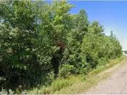 Lot 1 Route 530, Grande Digue, NB, E4R 5P8 vacant land...
