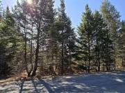 Lot 2021 2 Lacey Mines Road, Chester Basin, NS, B0J 1K0...