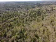 Lot 3 Highway 10, Albany, NS, B0S 1P0 vacant land for sale.