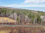 Lot 3 Shore Road West, Phinneys Cove, NS, B0S 1L0 vacant...