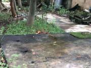 Lot and House and lot for sale