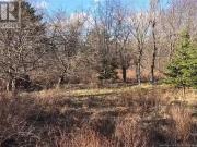 Lot Crocker Hill, Dufferin, NB, E3L 3Z4 vacant land for...