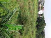 Lot for Garage or Warehouse Site for Sale in Manuyo Dos,...