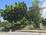 Lot For Rent in Meadowood Subdivision Panapaan, Bacoor,...