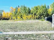 Lot For Sale