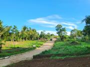 Lot For Sale 1,000 sqm near Jaytee and Twin lakes...