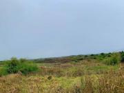 LOT FOR SALE 1.5 Hectares / 15,000 Sq.m Good for...