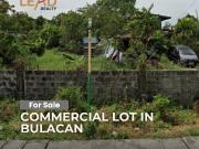 Lot For Sale 2355sqmn Commercial Lot in Bulacan for sale
