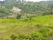 Lot For Sale 39, 209 sqm Clean Title in Cebu City, Cebu...