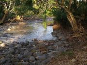 Lot for Sale! 5 Hectares Agricultural Land in Lamanan,...