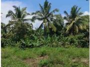 Lot for sale