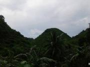 lot for sale aime homes minglanilla cebu