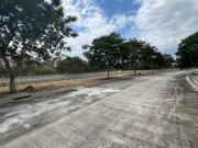 Lot For Sale Alabang West Village Daang Hari Las Pinas