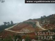 Lot for sale at affordable price