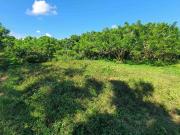 Lot for Sale at Amadeo Cavite Farm land near Tagaytay City