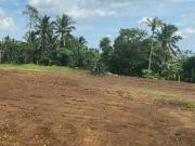 Lot for Sale at Liliw Laguna ideal for farming and...
