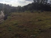 Lot For Sale Aurea Village, Alfonso, Cavite