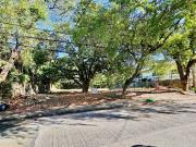 Lot For Sale Ayala Alabang Muntinlupa Prime Area Vacant Lot